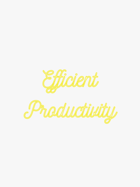 efficiency productivity