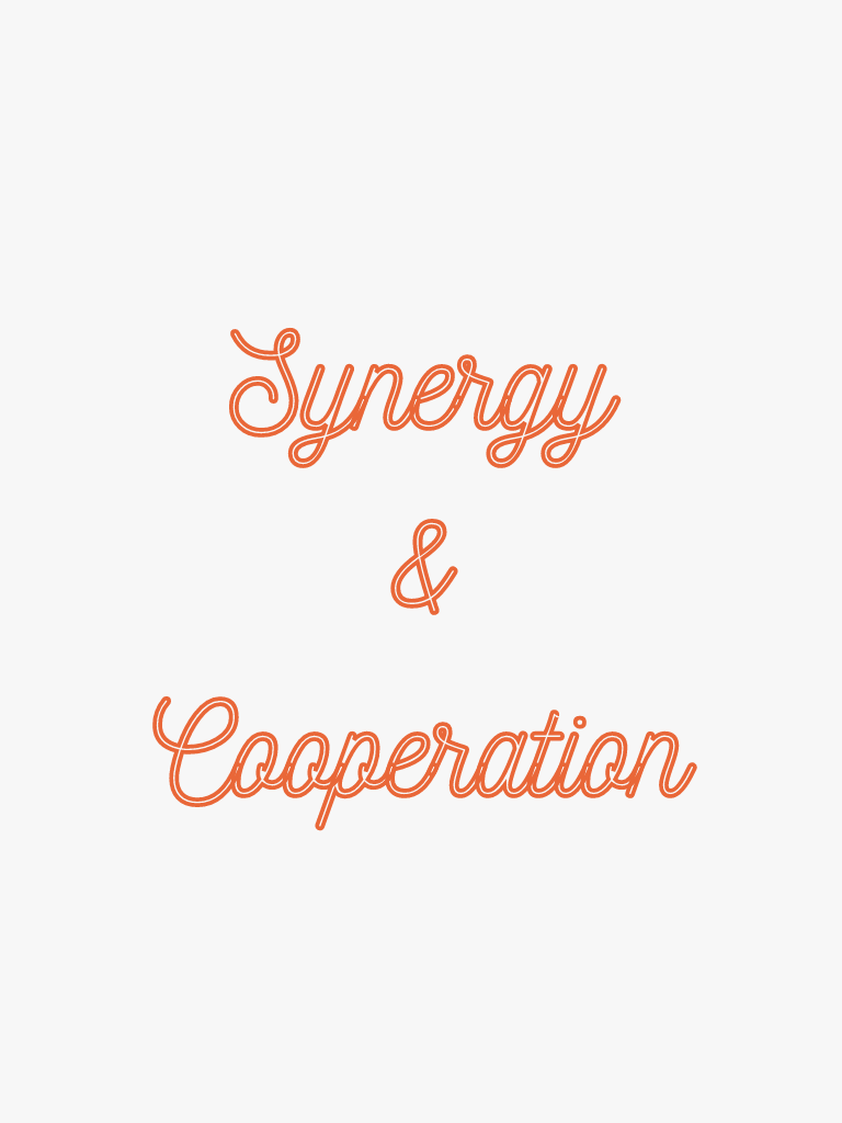 Synergy and Cooperation