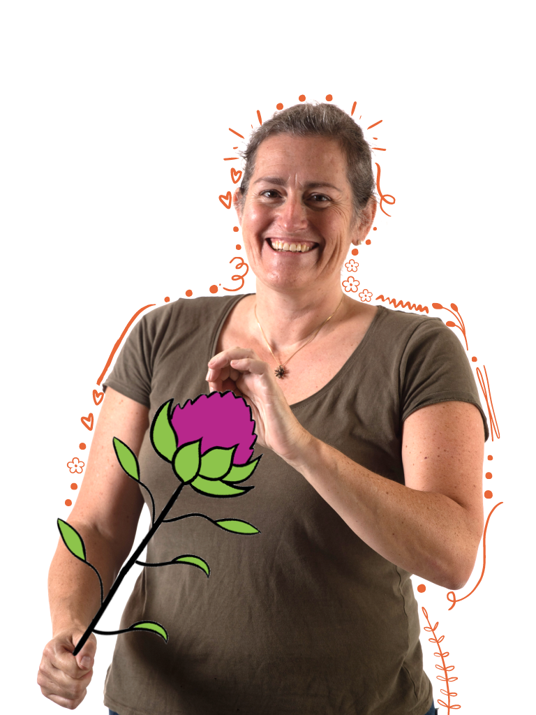 Rose, Operator Our Australian Flower
